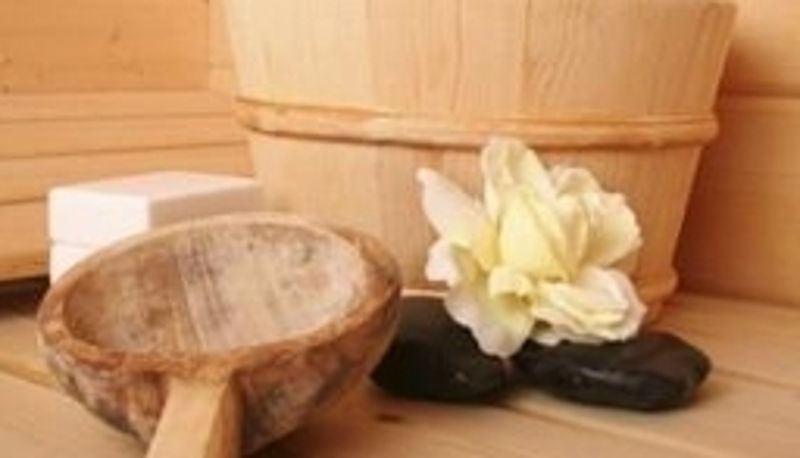Sauna - Le Relais du Plessis Terres de France