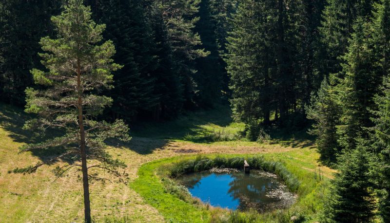 Widok - Schöne Aussicht