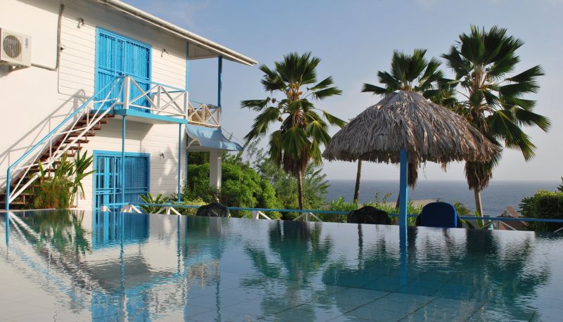 Pool - Half Moon Blue Hotel