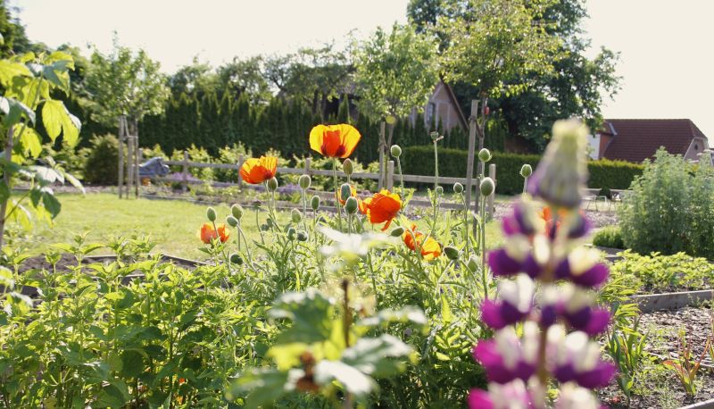 Jardin - Franck Landhotel