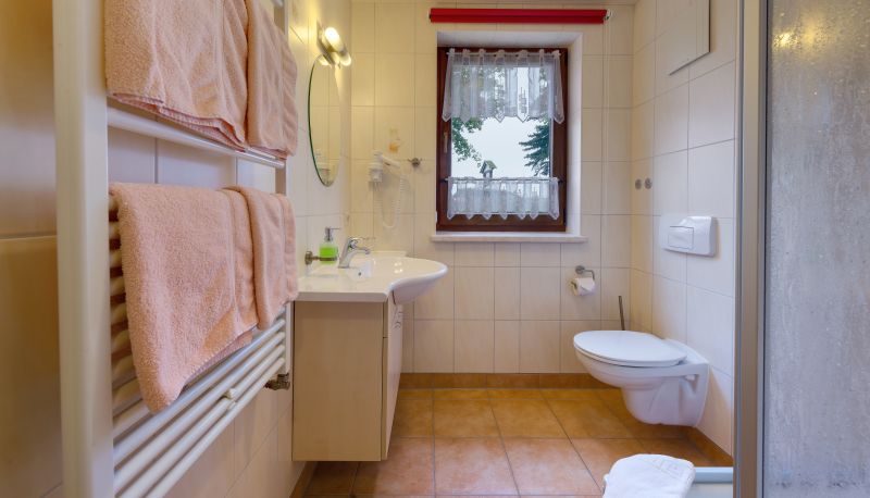 Bathroom - Dachsbaude & Kammbaude