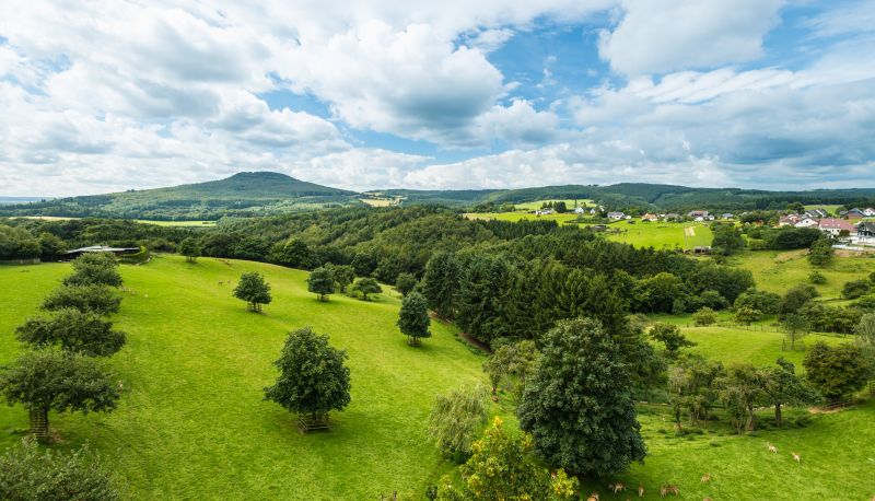 View - Kastenholz
