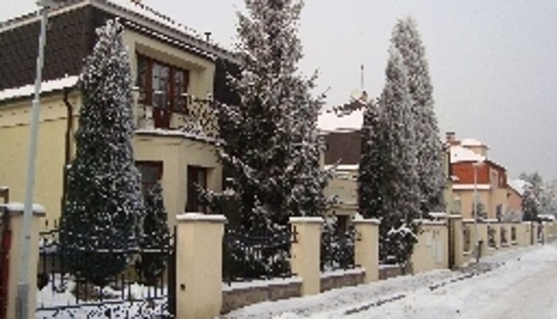 Buitenruimte van het hotel - Villa Olivia