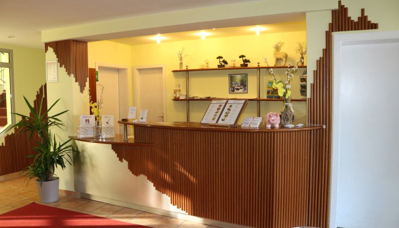 Recepción - REGIOHOTEL Am Brocken Schierke