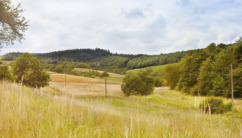 Vista - Lembergblick Landhotel & Waldgasthof