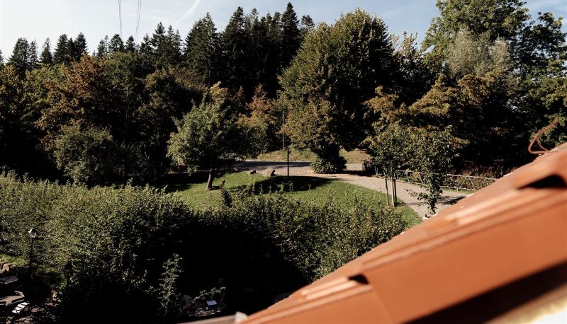 Vista - Dammühle