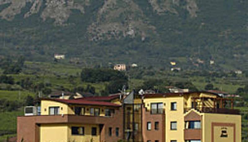 Jardin - Lemi
