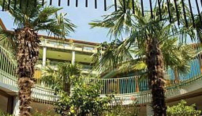 Giardino - Alexander