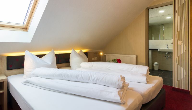 Camera standard (doppia) - Zur Grünen Kutte Landhotel