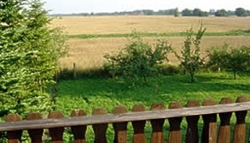 Garden - Zur Oase Gasthaus & Pension