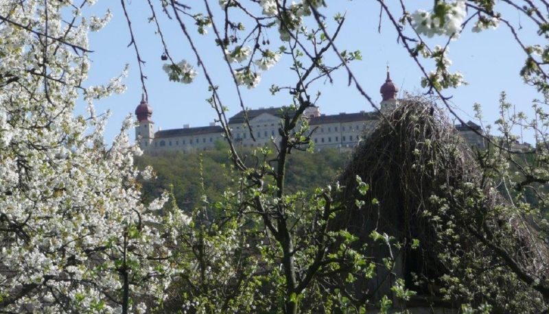 Vue - Gasthof-Hotel "Goldene Krone"