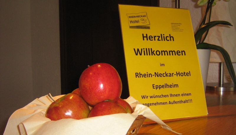 Info - Rhein-Neckar