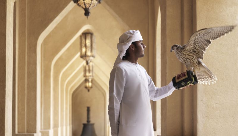 Info - Anantara Qasr al Sarab Desert Resort