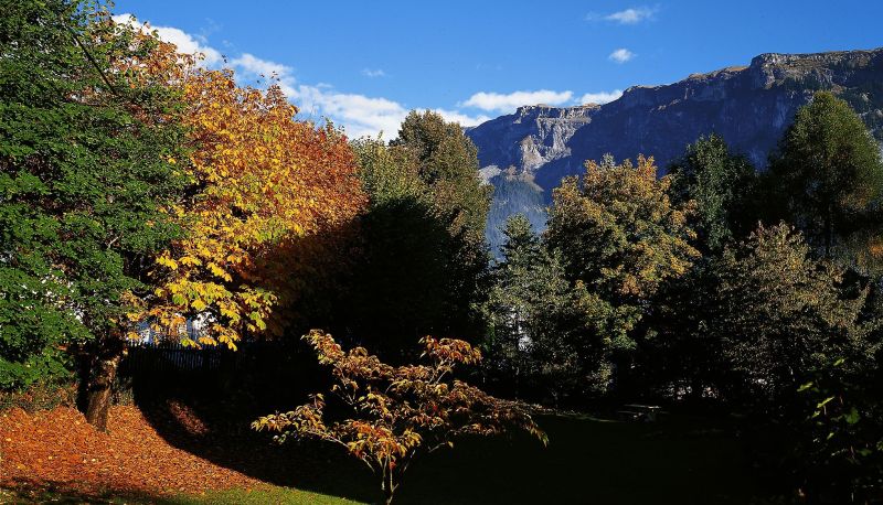 Giardino - Cresta