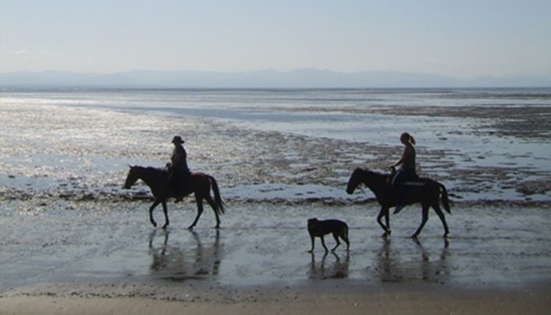 Spiaggia - Hibiscusgarden