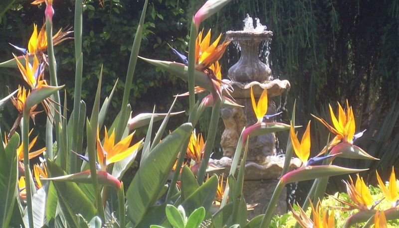 Giardino - Bosque Mar
