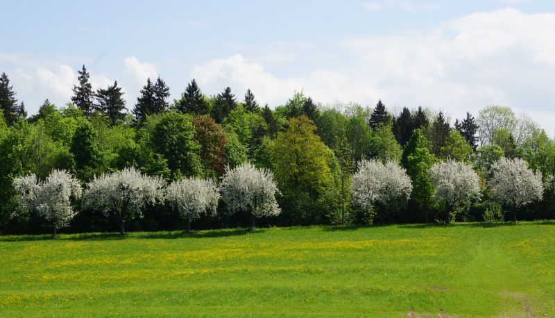 View - Funk Gästehaus