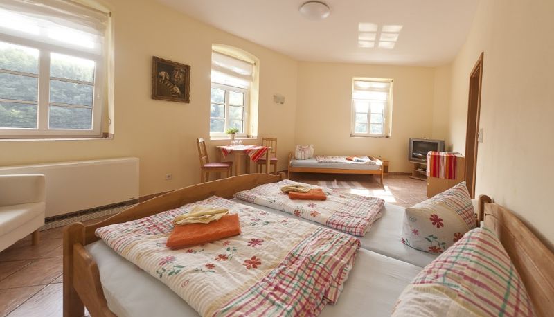 Pokój standardowy (dwuosobowy) - Obermühle Pension