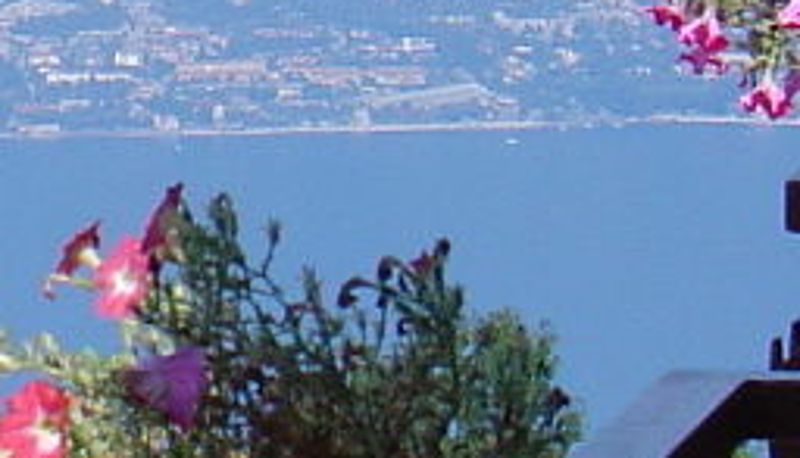 View - Belvedere