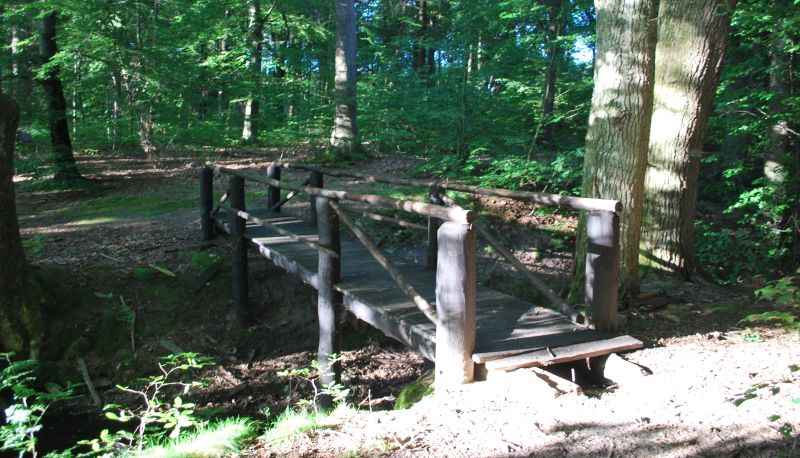 Umgebung - Zajazd Zamkowy