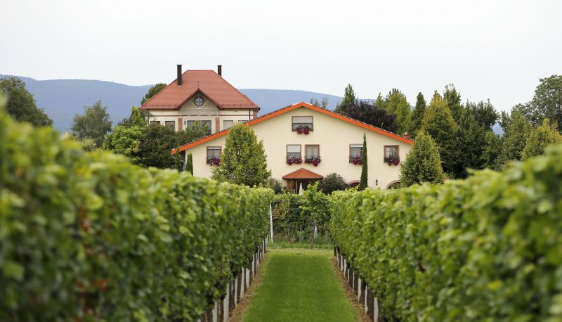 Environs - Villa Hochdörffer Weingut & Gästehaus