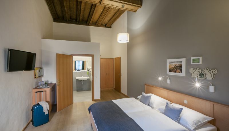 Pokój standardowy (dwuosobowy) - JUFA Hotel Schloss Röthelstein
