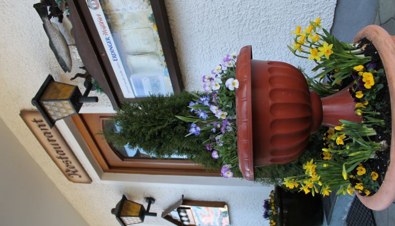 Restauracja - Schäfflerhof