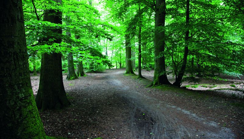 Entorno - Fletcher Hotel - Restaurant Dinkeloord