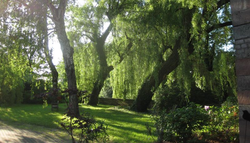 Jardín - Le Moulin de la Wantzenau