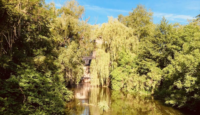 Vista - Le Moulin de la Wantzenau