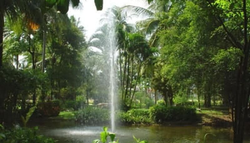Salón - Duangjitt Resort