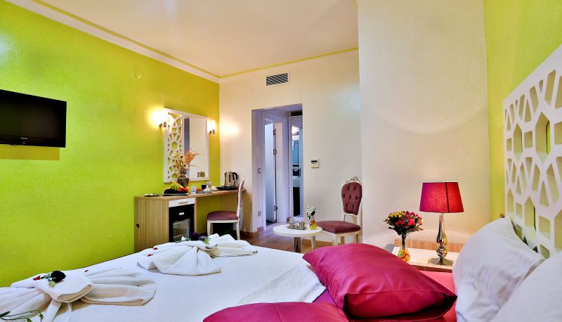 Standaardkamer (tweepersoons) - Ayasultan Hotel Special Class