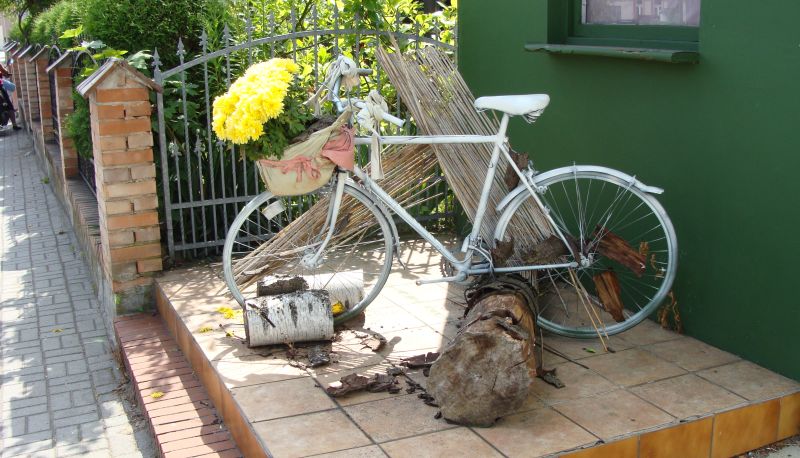 Taras - Bike Hostel&Camp