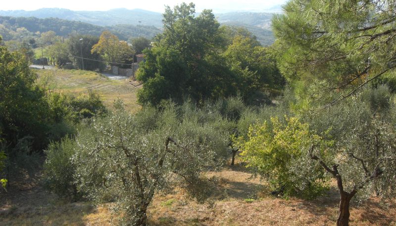 Vista - Il Poggetto Hotel