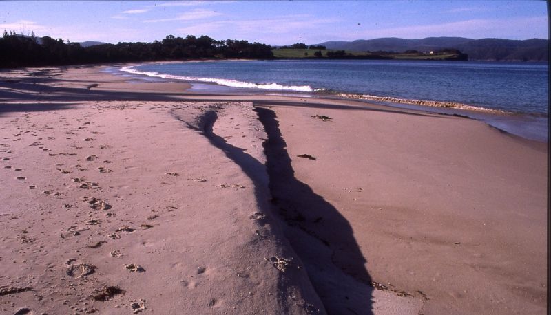 Spiaggia - Sea Change Safety Cove