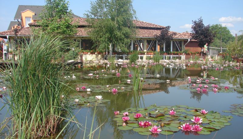 Entorno - Bagolyvár Étterem & Vendégház & Wellness