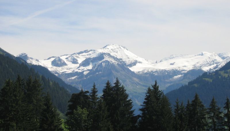 Vue intérieure - Boutique Hotel Alpenrose