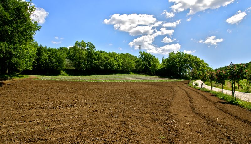 Ogród - La Pampa Relais