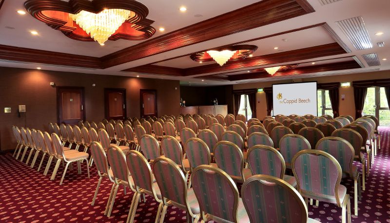 Sala konferencyjna - Coppid Beech