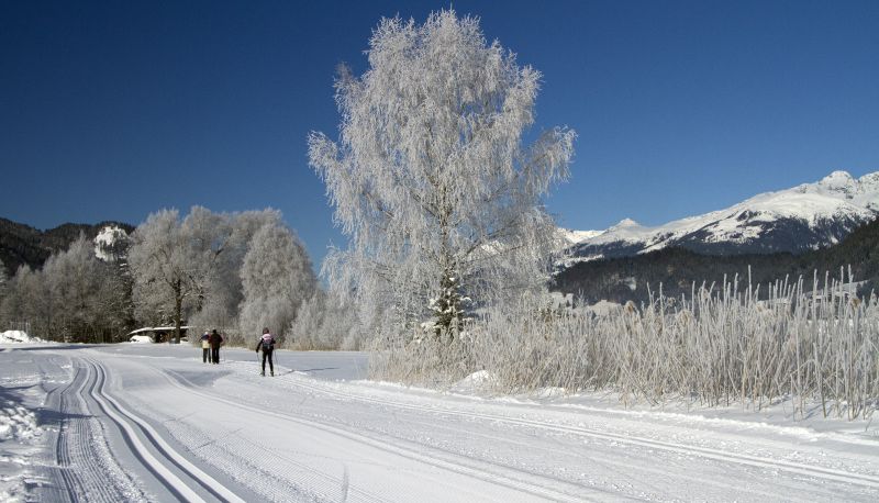 Installations sportives - Kamenhof