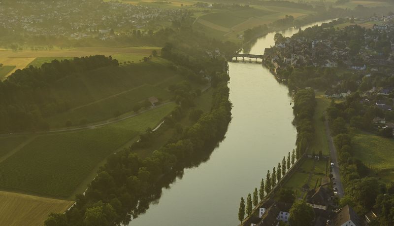 Info - Rheingold