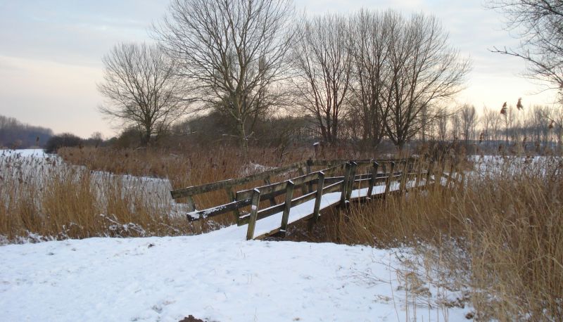 Entorno - Lodgerie Het Groene Geheim