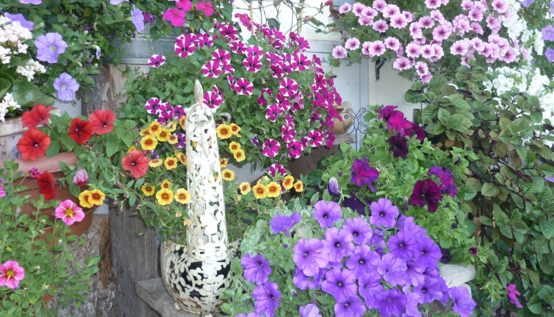 Jardin - Hotel Blankhof Garni