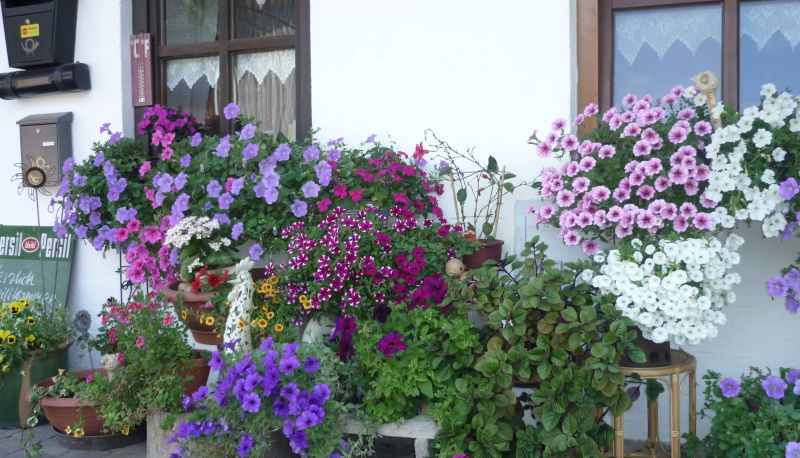 Terrasse - Hotel Blankhof Garni