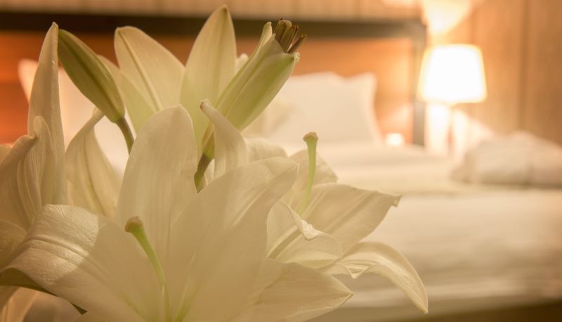 Info - ERBIL GRAND HOTEL