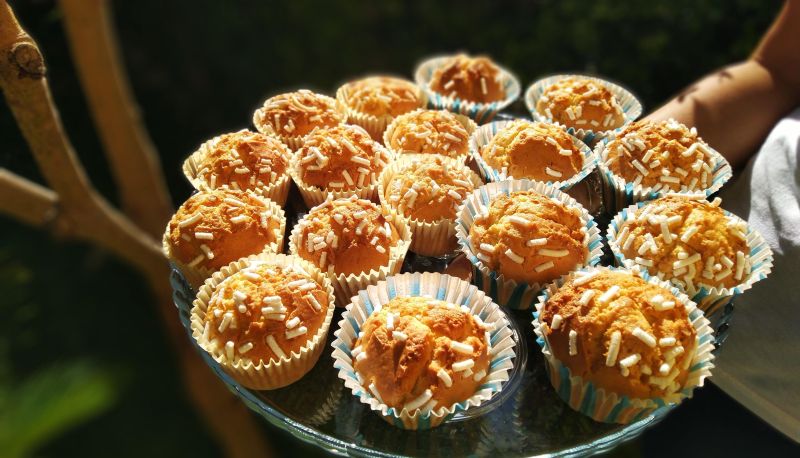 Sala de desayunos dentro del restaurante - Marina Pet Lovers