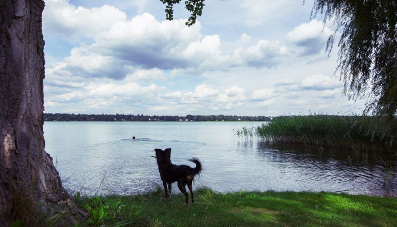 View - SEEPARK HOTEL AM WANDLITZSEE