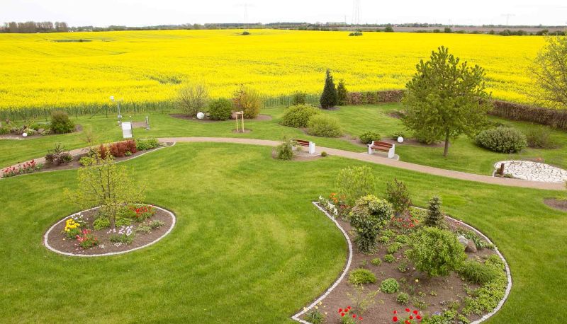 poppy seeds when to plant Poppy Seeds