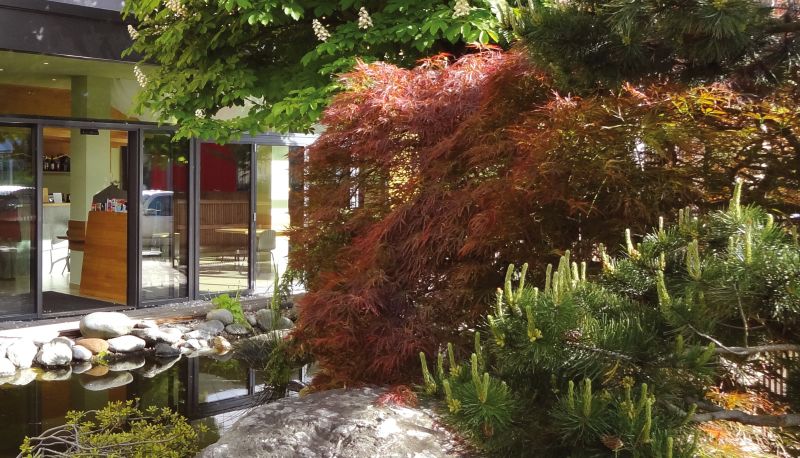 Zona exterior del hotel - Avenon Privat-Hotel Am Steinberg
