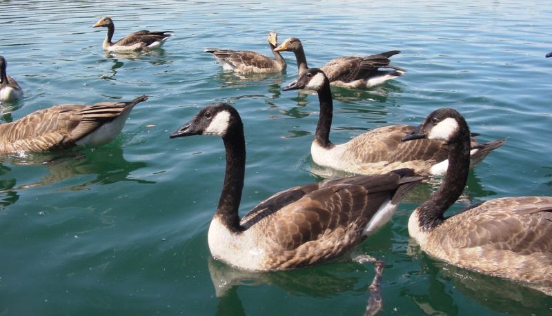 Plaża - B&B am See Privatzimmer